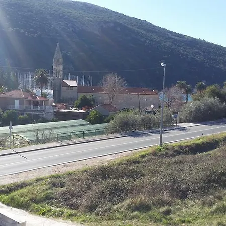 Oliva