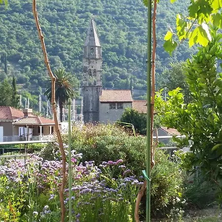 Oliva